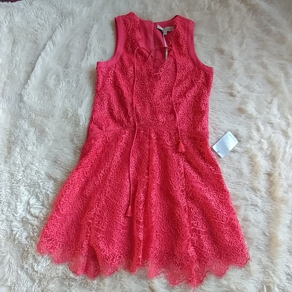 Lace Dress - Picture 1 of 8